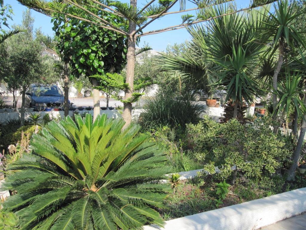Villa Nikos Karamolegkos Kamari Ngoại thất bức ảnh